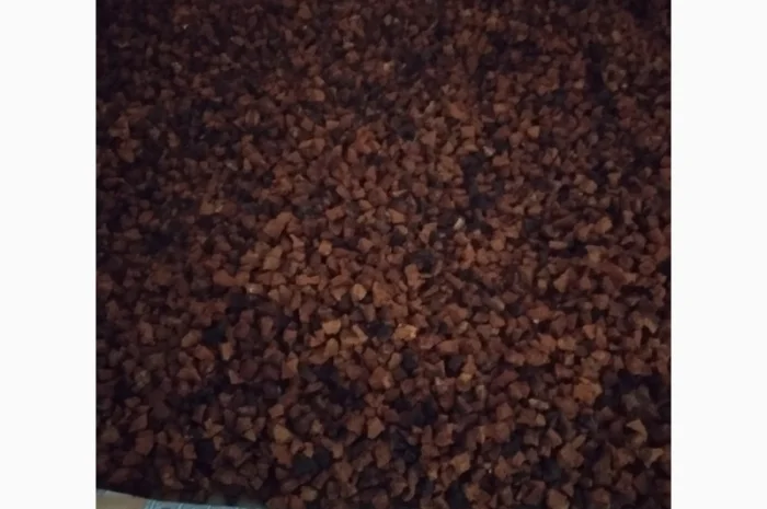 Гриб чага- фото № 1