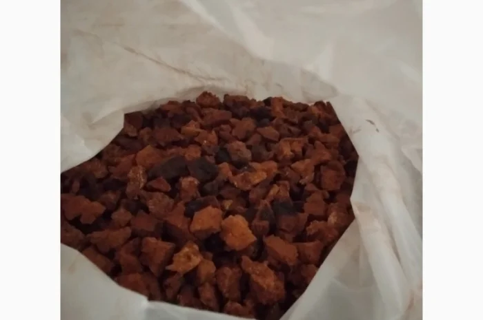 Гриб чага- фото № 2