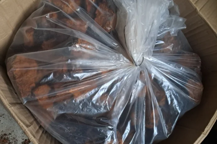 Продам березовий гриб (чага) сухий- фото № 3