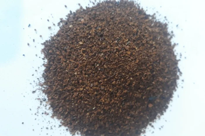 Чага дробленая- фото № 1