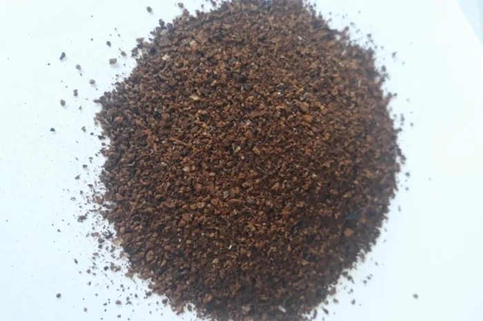 Чага дробленая- фото № 2