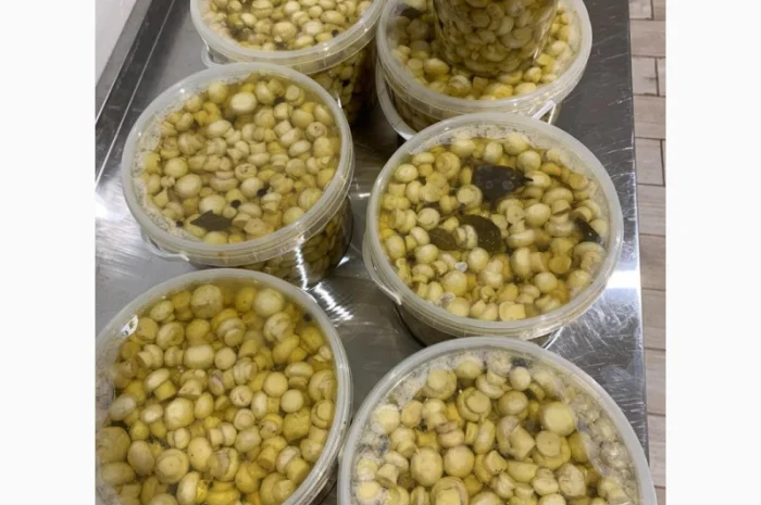 Продам гриби шампіньйони мариновані в пластикових відерцях- фото № 3