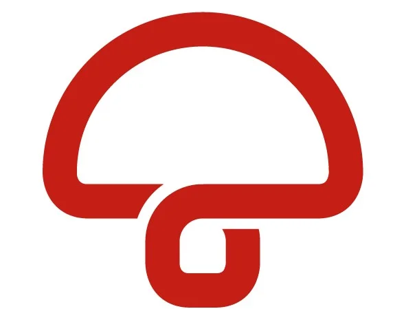 Грибы шампиньоны- фото № 1