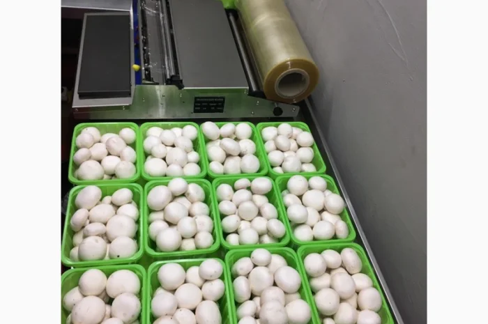 Грибы шампиньйоны фасованные- фото № 2