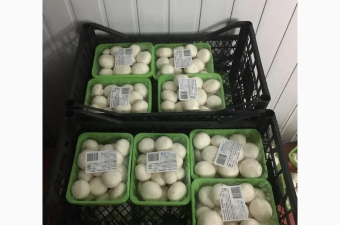 Грибы шампиньйоны фасованные- фото № 4