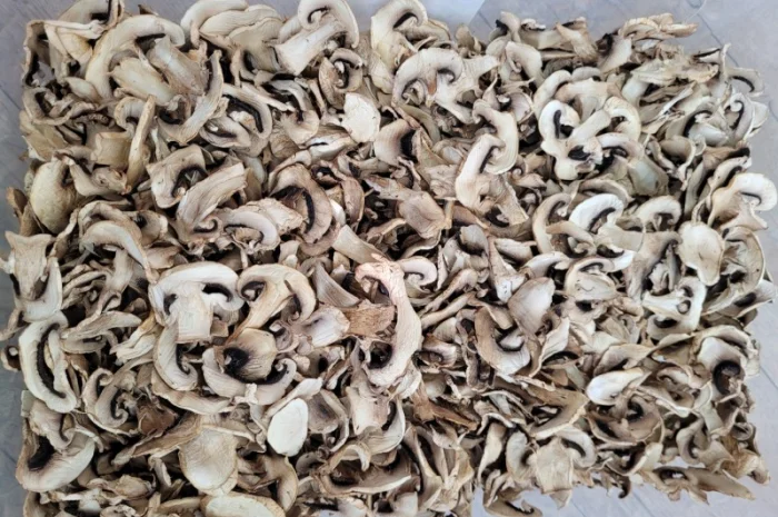 Шампиньоны сушеные слайсы- фото № 1