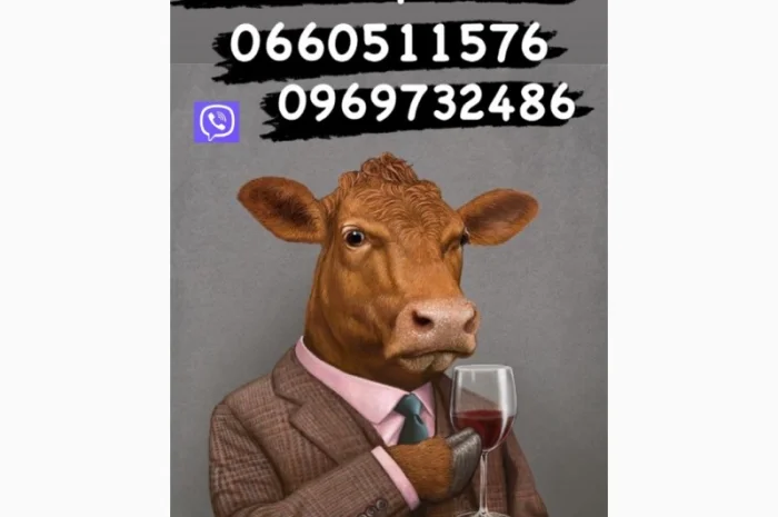 Проводимо закупку гавядини овець баранів ярок- фото № 1