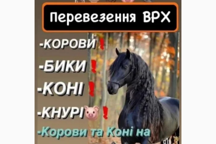 Врх на тримання- фото № 1