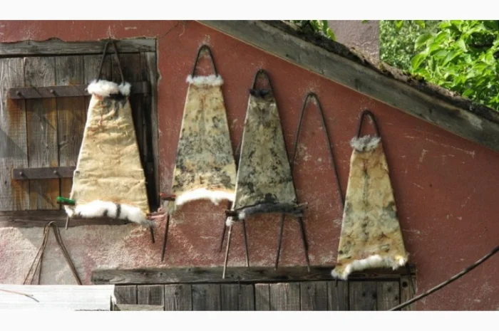 Куплю сухі шкури кролика, зайця та бобра несолені- фото № 1