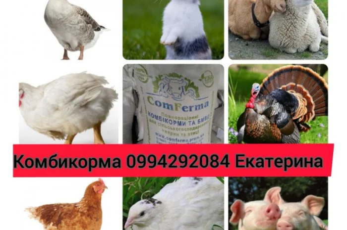 Комбикорм для кроликов Старт- фото № 5