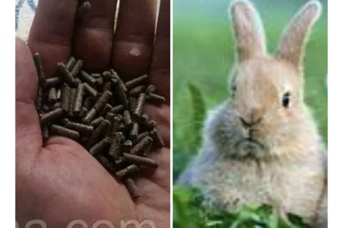 Продам универсальный корм для кролей- фото № 1