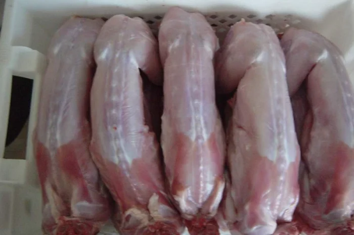 Кролеферма продаж мяса- фото № 2