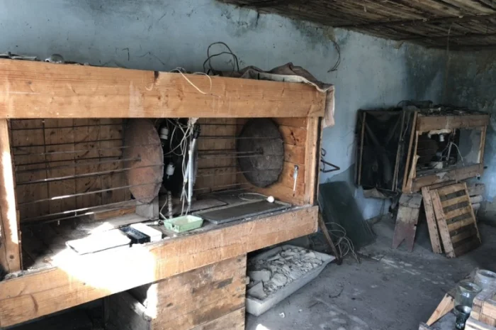 Кроличка, крольчата, кролики на плем'я- фото № 1