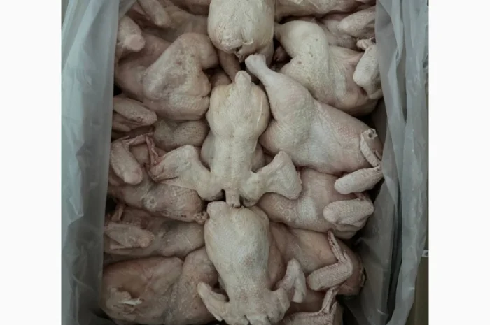 Продается замороженная курица от экспортной компании, от 20 тонн- фото № 5
