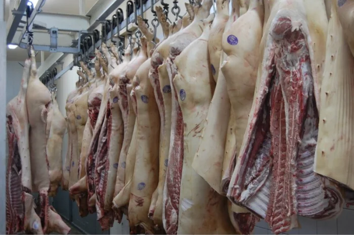 Продам свиниу и говядину охлажденую от производителя с 20 тонн- фото № 2