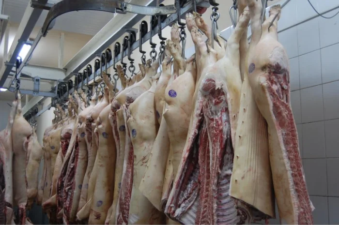 Продам свиниу и говядину охлажденую от производителя с 20 тонн- фото № 4