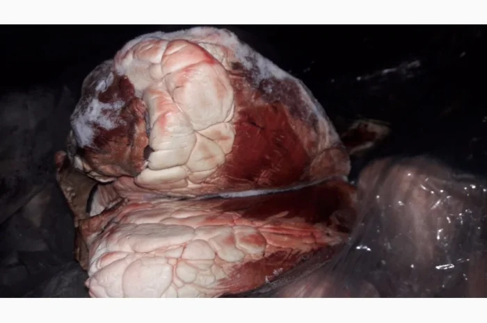 Субпродукты свиные, говяжьи- фото № 1