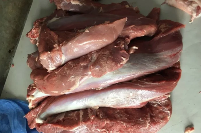 Мясо телятины, говядины и конины- фото № 2