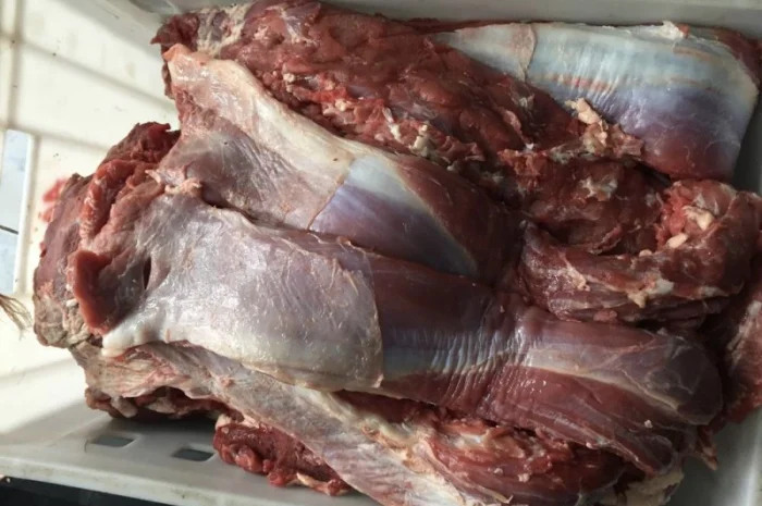 Мясо телятины, говядины и конины- фото № 3