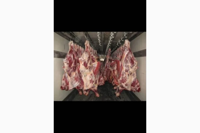 Мясо телятины, говядины и конины- фото № 4