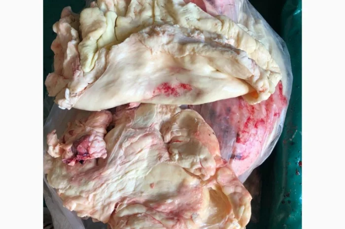 Субпродукты говяжьи и конские- фото № 9