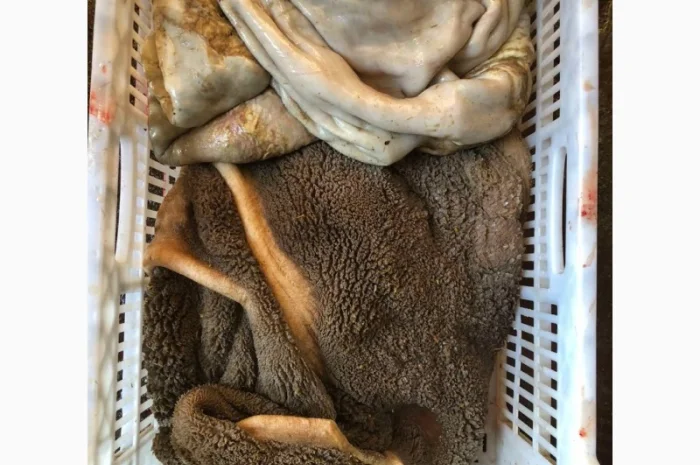 Субпродукты говяжьи и конские- фото № 10