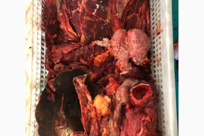 Субпродукты говяжьи и конские- фото № 11