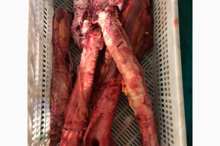 Субпродукты говяжьи и конские- фото № 5