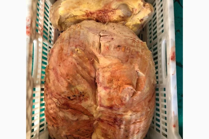 Субпродукты говяжьи и конские- фото № 6