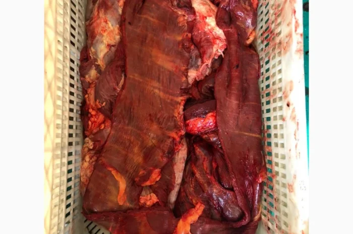 Субпродукты говяжьи и конские- фото № 7