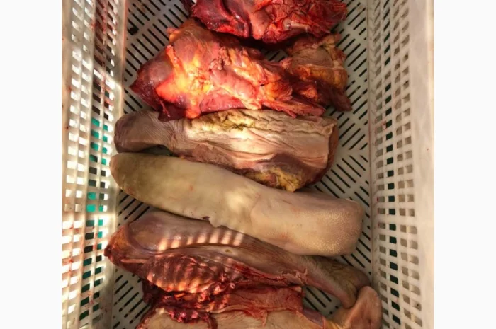 Корм для собак, субпродукты, мясо- фото № 1