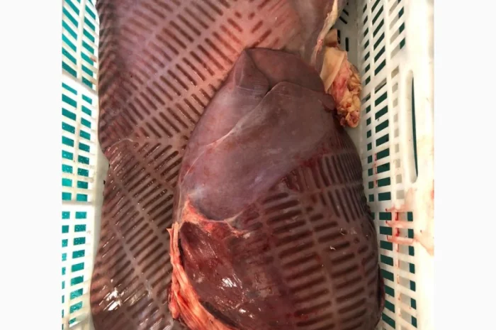 Корм для собак, субпродукты, мясо- фото № 3