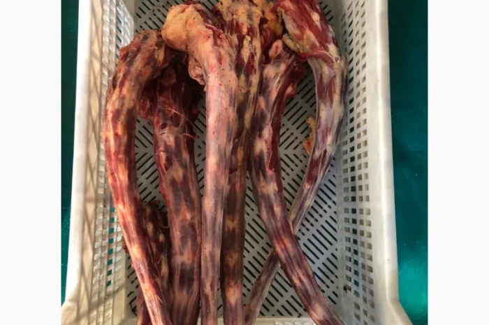 Корм для собак, субпродукты, мясо- фото № 4