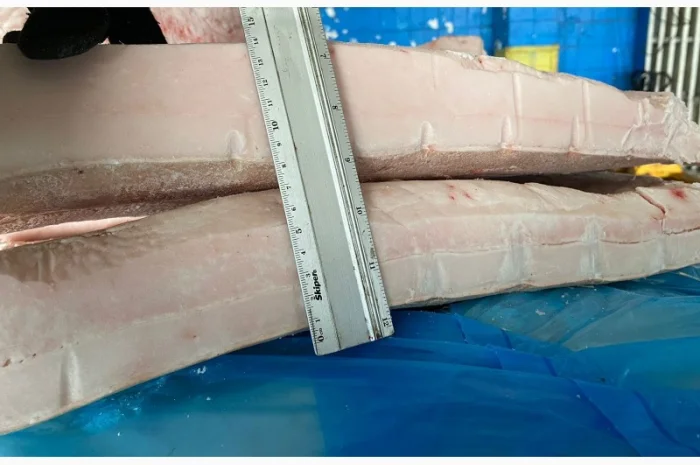 Продам субпродукти курячі, свинні, яловичі, індичі- фото № 2