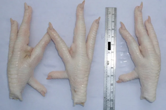 Мясо и мясо птицы- фото № 1