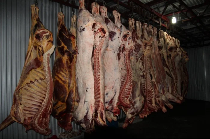 М'ясо Свіже Полотуші- фото № 1