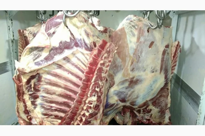 М'ясо Свіже Полотуші- фото № 9