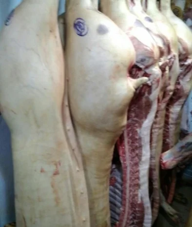 М'ясо Свіже Полотуші- фото № 11