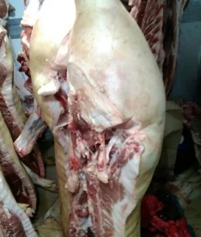 М'ясо Свіже Полотуші- фото № 12