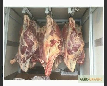 М'ясо Свіже Полотуші- фото № 13