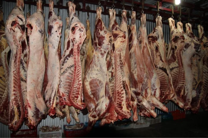 М'ясо Свіже Полотуші- фото № 2