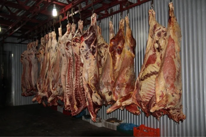 М'ясо Свіже Полотуші- фото № 3