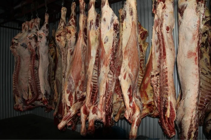 М'ясо Свіже Полотуші- фото № 4