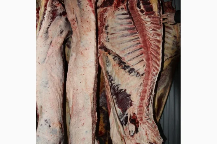 М'ясо Свіже Полотуші- фото № 7