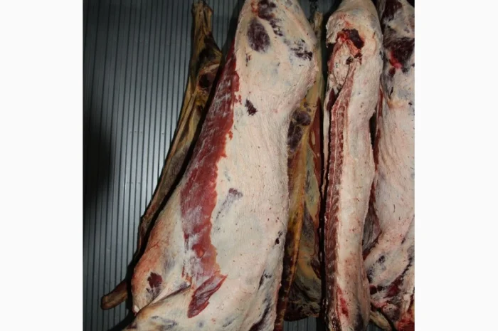 М'ясо Свіже Полотуші- фото № 8