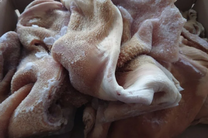 Продам рубець митий, чищений- фото № 3