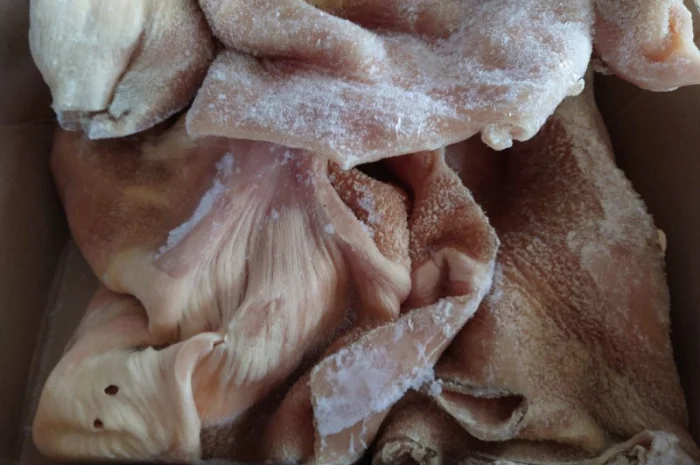 Продам рубець митий, чищений- фото № 5