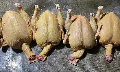 Домашнее мясо, курица, индейка- фото № 3