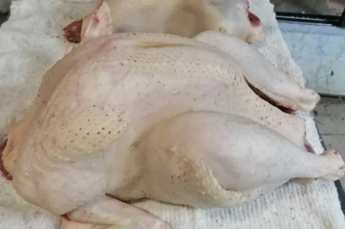 Домашнее мясо, курица, индейка- фото № 6