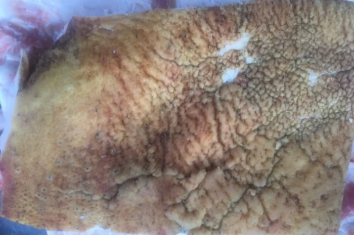 Продам сало домашнее высмаленое- фото № 2